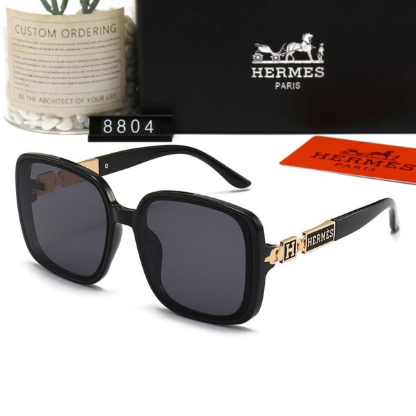 Hermes Sunglasses 1 - Image 7