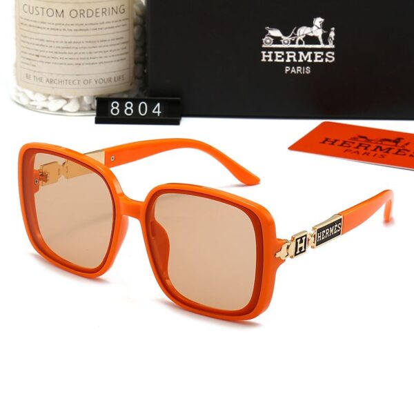 Hermes Sunglasses 1 - Image 5