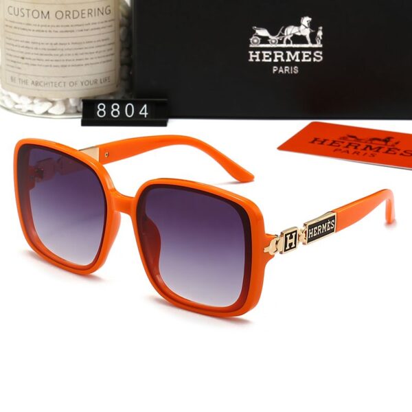 Hermes Sunglasses 1