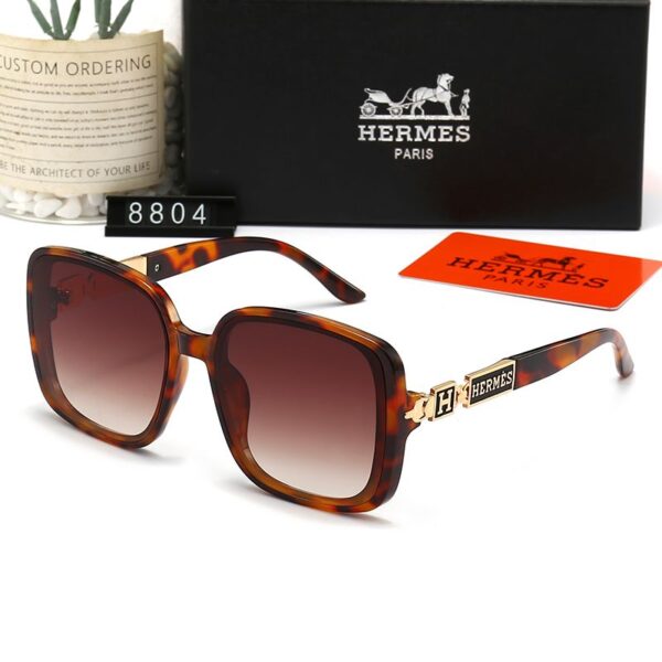 Hermes Sunglasses 1 - Image 4